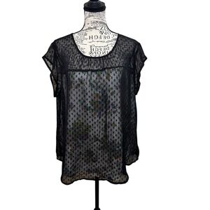 Daniel Rainn Black Sheer Polka Dot Blouse